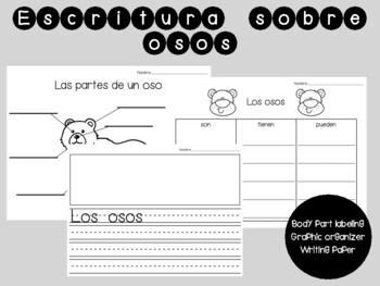 Preview of Escritura informativa - Los osos - Informative Writing About Bears in Spanish