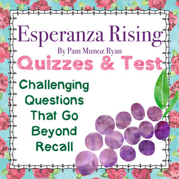 Preview of Esperanza Rising: 70+pages CC-Aligned Quizzes/Assessments for Novel Study