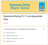 Esperanza Rising Chapter 11 Google Form Quiz