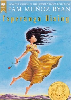 Preview of Esperanza Rising Novel Chapter Quiz Bundle