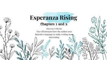 Preview of Esperanza Rising Novel Study: Chapters 1 and 2