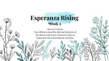 Preview of Esperanza Rising: Novel Study Chapters 3 and 4