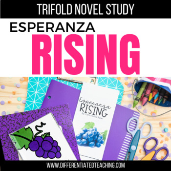 Preview of Esperanza Rising Novel Study Unit: Comprehension & Vocabulary Activities
