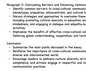 cross cultural experience essay