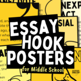 Essay Hooks Introduction Posters with Examples