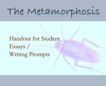 essay about metamorphosis