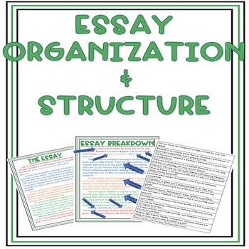 Preview of Essay Organization and Structure Activity (Reverse Mapping)