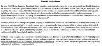 Preview of Essay Prompt and Writing Packet - Juvenile Justice / Youth Justice