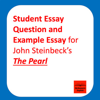 essay question and answers in the pearl