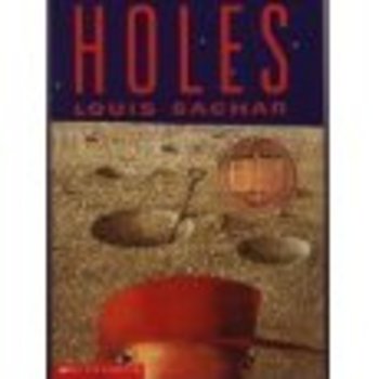 essay questions for the book holes