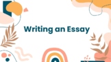 Essay Writing Unit