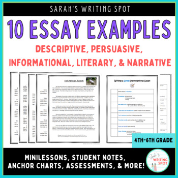 Preview of Essay Writing with Examples and Units