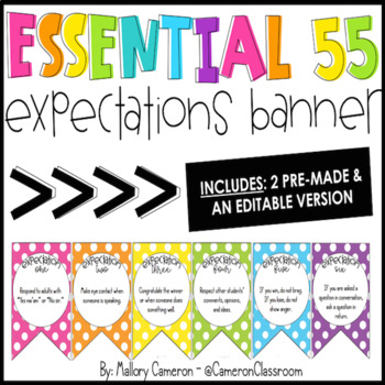 Preview of Essential 55 Banner - Inspired by Ron Clark's Book