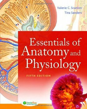 Preview of Essentials of Anatomy and Physiology