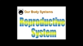 Essentials of the Human Reproductive System -- PowerPoint