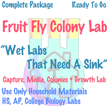 Preview of Establishing a Fruit Fly Colony - Growth Measurements with Statistics