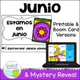 Junio Spanish Summer Print & Boom Card Reader Mystery Reve