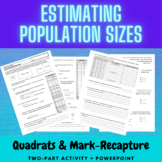 Estimating Population Sizes Activity | Population Ecology 