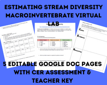Preview of Estimating Stream Diversity Macroinvertebrate Virtual Lab & CER - Google Doc
