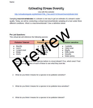 STREAM Meaning worksheet