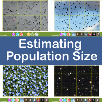 Preview of Estimating Crowd and Population Size using Jacob's Method