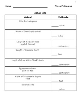 Preview of Estimating with the book Actual Size