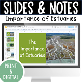 Estuaries | Importance of Estuaries | Hydrology Series | G