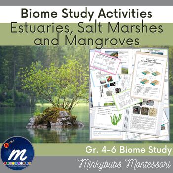 Preview of Estuaries Salt Marshes Mangroves Fast Facts Marine Biome Unit Study