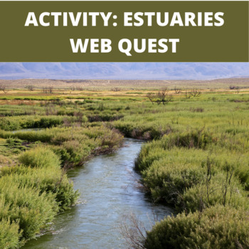 Preview of Estuaries Web Quest