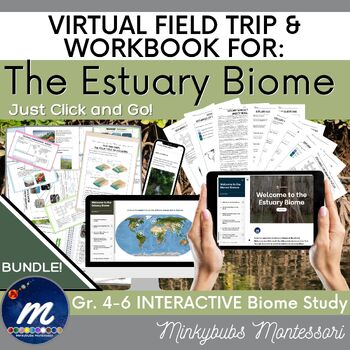 Preview of Estuary Biome Virtual Field Trip Workbook Fast Facts Unit Study Click, Print, Go