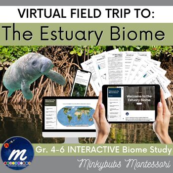 Preview of Estuary Biomes Virtual Field Trip Interactive Visit Fast Facts - Click and Go!