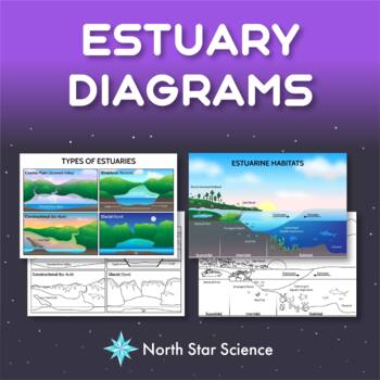 Preview of Estuary Diagrams