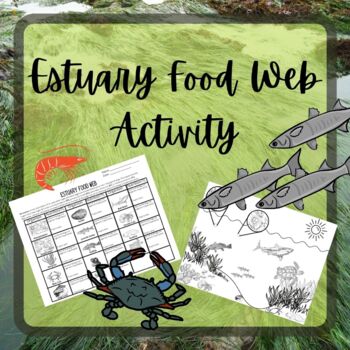 Preview of Estuary Food Web Activity