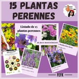Estudiar las plantas { 15 Plantas Perennes}