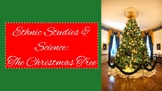 Ethnic Studies & Science: The Christmas Tree