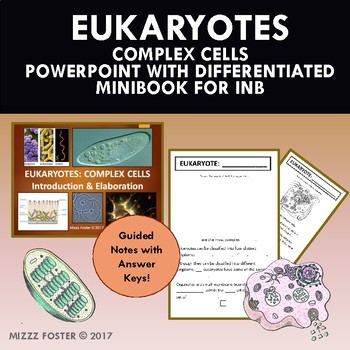 Eukaryote Complex Cell Organelles Powerpoint Differentiated Mini Book