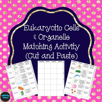 Preview of Eukaryotic Cells and Organelles Matching Activity (Cut and Paste)