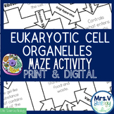 Eukaryotic Cell Organelles Maze: Print and Digital