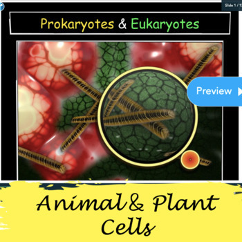 Preview of Eukaryotic & Prokaryotic Cells and the Cell Theory NO Prep Biology Lesson