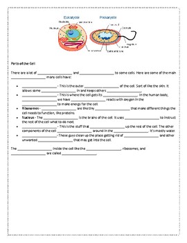 Eukaryotic and Prokaryotic Cells WebQuest by Stokes' Scholars | TPT