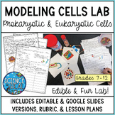 Edible Cell Model Lab - Eukaryotic and Prokaryotic Cell Mo