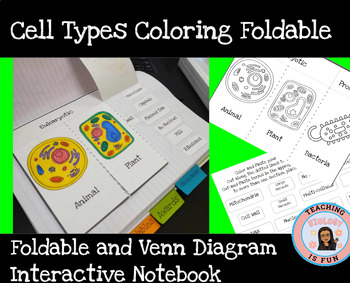 Preview of Eukaryotic vs. Prokaryotic Cell Types Coloring Foldable and Venn Diagram