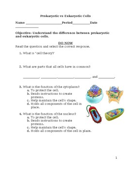 Eukaryotic vs Prokaryotic Cells Worksheet by Daniel Cortes | TPT