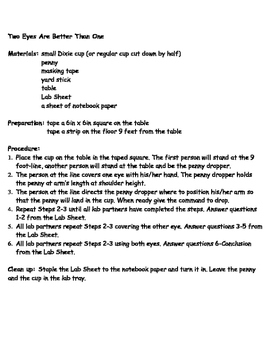 Eureka! You Found It! Discovery Lab Two Eyes Are Better Than One.