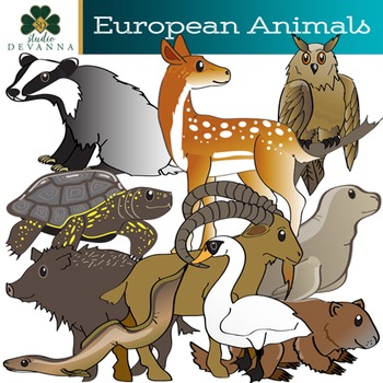 European Animals Teaching Resources | TPT