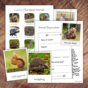 European Animals Pack with Extension by Little Spark Company | TPT