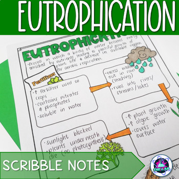Preview of Eutrophication Notes - Scribble Notes