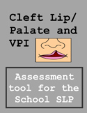 Evaluation of Cleft Palate Speech and VPI for the School SLP