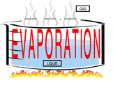Evaporation Condensation Vocabulary Science Poster ELL