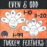 Even and Odd Number Turkey Feathers